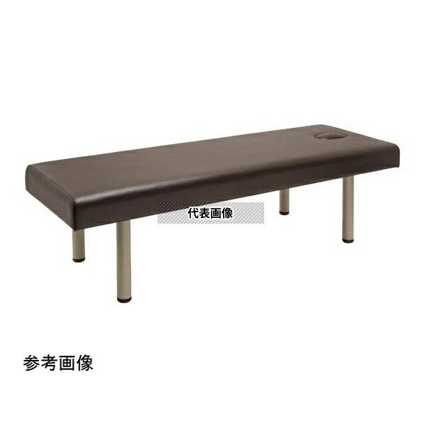 フィフティ・ヴィジョナリー FV-215B-BR-W75-H50 診察台ベッド [有孔タイプ] 75-50 ブラウン [法人限定]