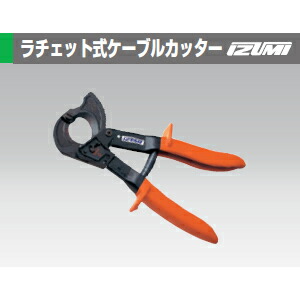 緑であること活動の領域
