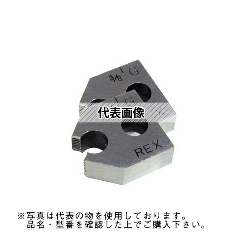 緑であること活動の領域
