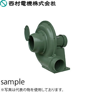 緑であること活動の領域