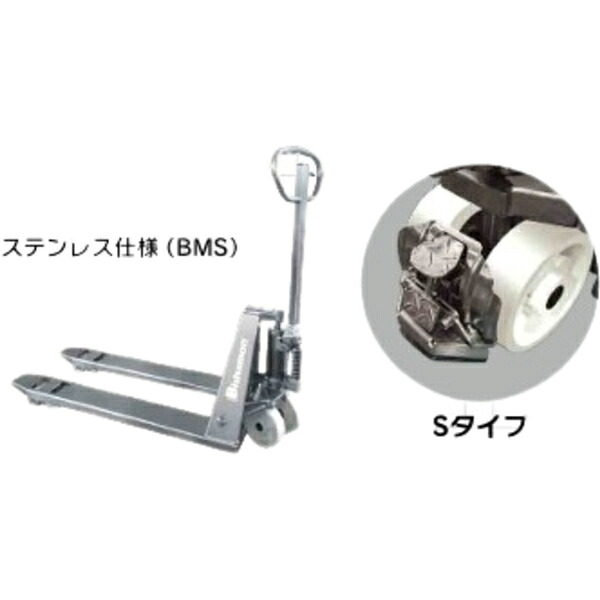 緑であること活動の領域