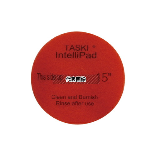 CXS(シーバイエス)　TASAKI　インテリパッド 13インチ　No.6008265　2枚