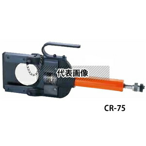 緑であること活動の領域
