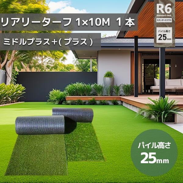 緑であること活動の領域