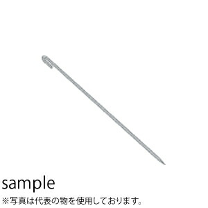 緑であること活動の領域