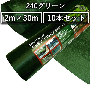 緑であること活動の領域