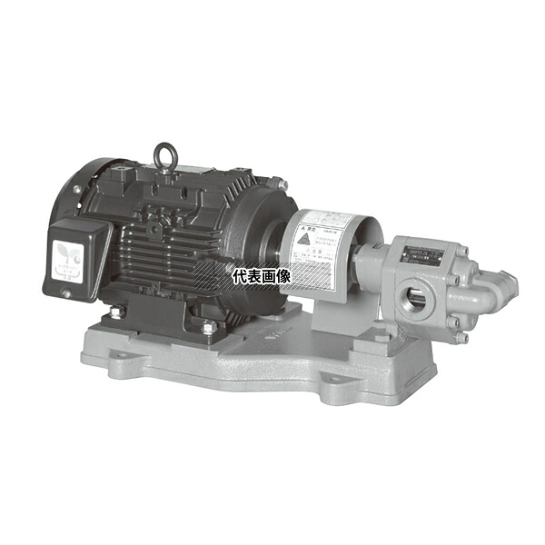 荏原製作所(エバラ) 歯車ポンプ GPF型　20GPF5.75B 三相 200V 20mm 50Hz(東日本用) GPF7314
