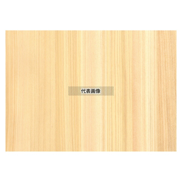 江部松商事 天然木シート 桧 A4 (10枚入) (100351) 205×295 シート メニュー/卓上サイン No.1222070