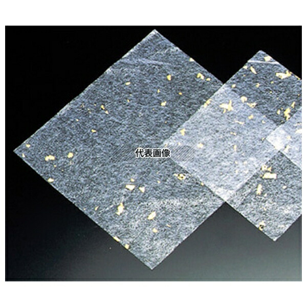 マイン 金箔紙 (500枚入) M30-120 300mm 300×300 料理演出用品 No.3272800