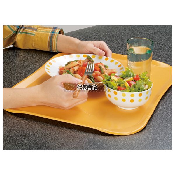 CAMBRO(キャンブロ) センチュリーカムトレー 1520C (171) タスカンゴールド 514×381 トレイ No.5082500