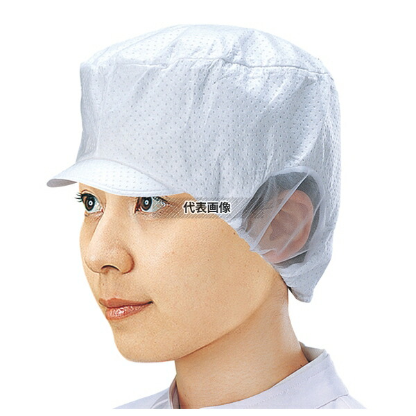 緑であること活動の領域