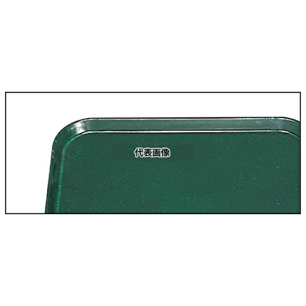CAMBRO(キャンブロ) カムトレー 2025 (119) シアウッドグリーン 649×527 トレイ No.6192700