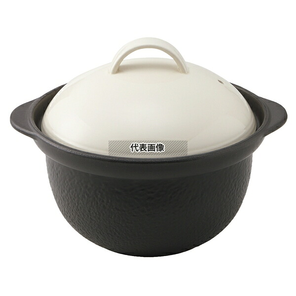 サーマテック 直火炊飯土鍋 (3合炊･内蓋付) アイボリー TDG04 1.96L 外径:22.2 炊飯器/スープジャー No.6972370