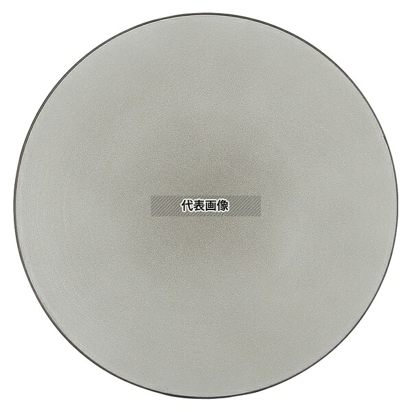 レヴォル エキノクス デイナープレート ペッパー φ260 650421 φ260×H30 和/洋/中 食器 No.7719920 8,630円