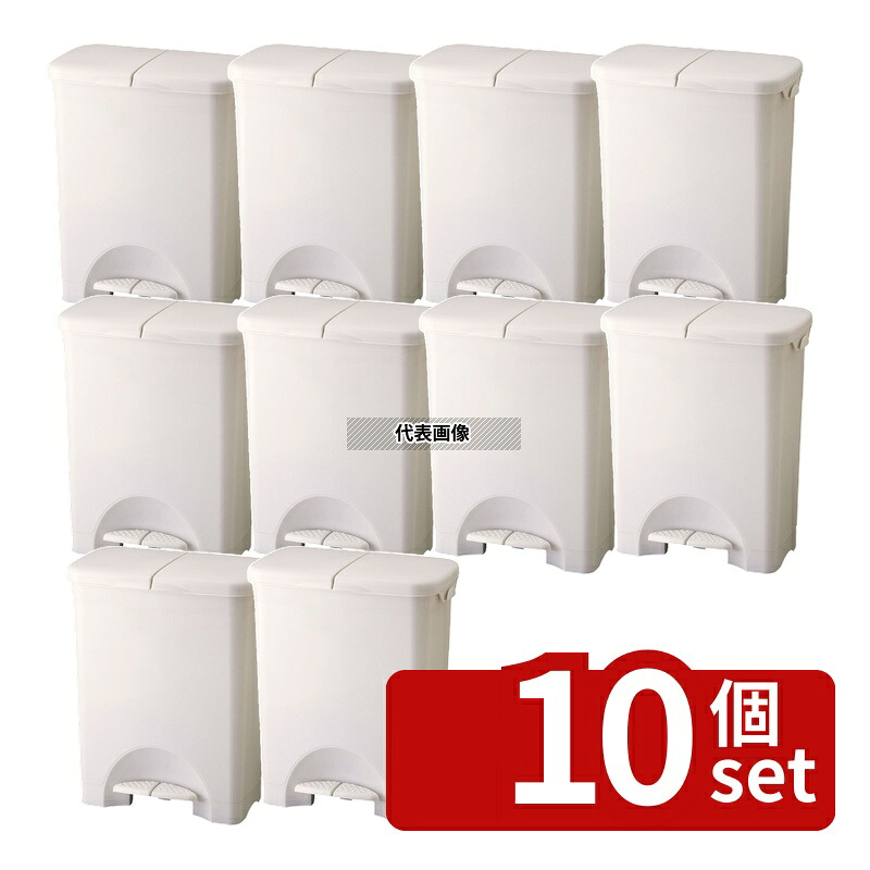 【10個セット】RISU(リス) H&H 分類ペダルペール 45PW 44L(約22L+約22L) 475&times;310&times;H565mm 清掃/衛生用品 No.0120110｜ファーストFACTORY