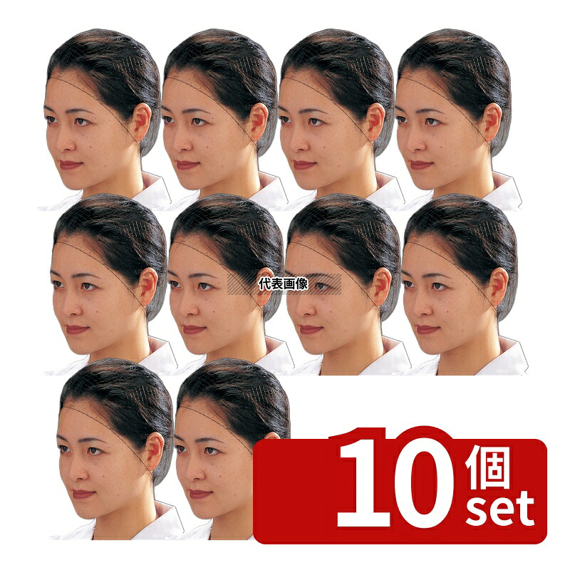 【10個セット】Pal ヘアーネット (100枚入) Sサイズ T20662 ユニフォーム No.1166800|ファーストFACTORY