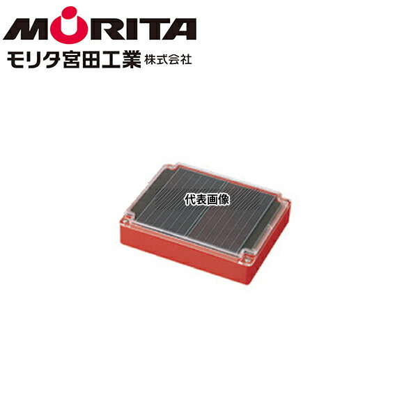 緑であること活動の領域