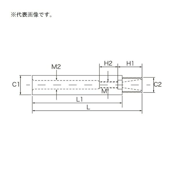 緑であること活動の領域