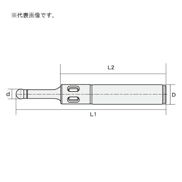 緑であること活動の領域