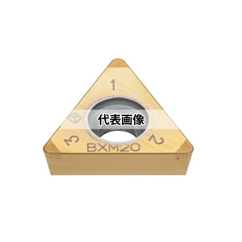 緑であること活動の領域