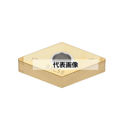緑であること活動の領域