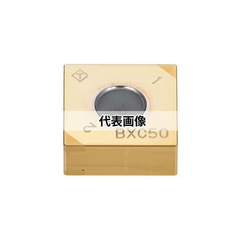 緑であること活動の領域