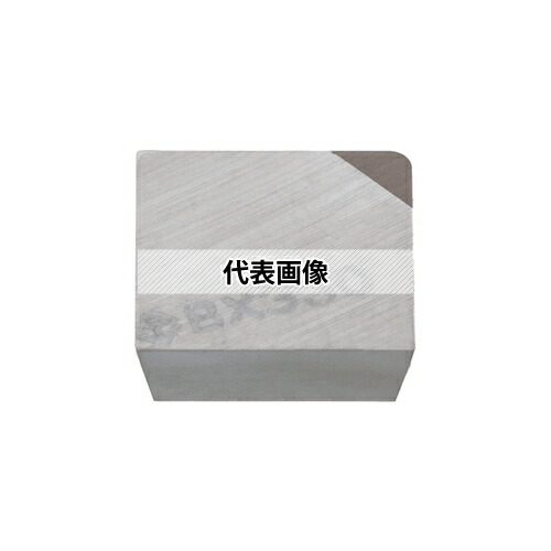 緑であること活動の領域
