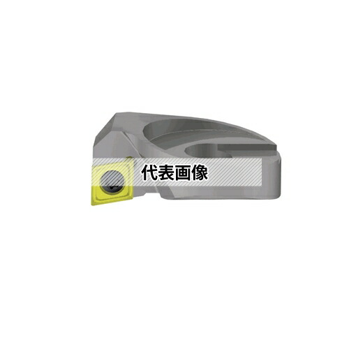 緑であること活動の領域