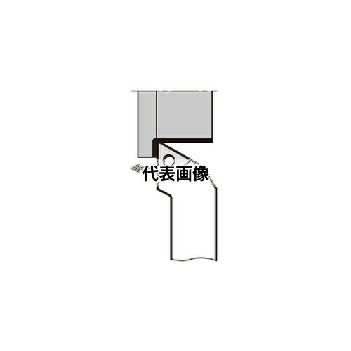 緑であること活動の領域
