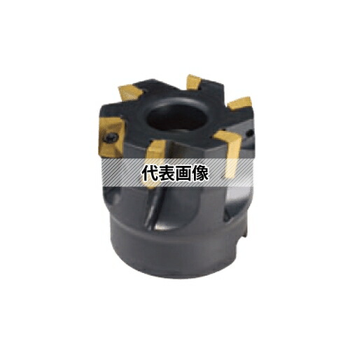 緑であること活動の領域