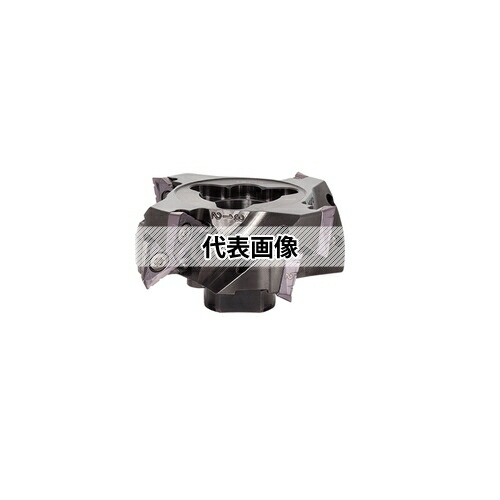 緑であること活動の領域