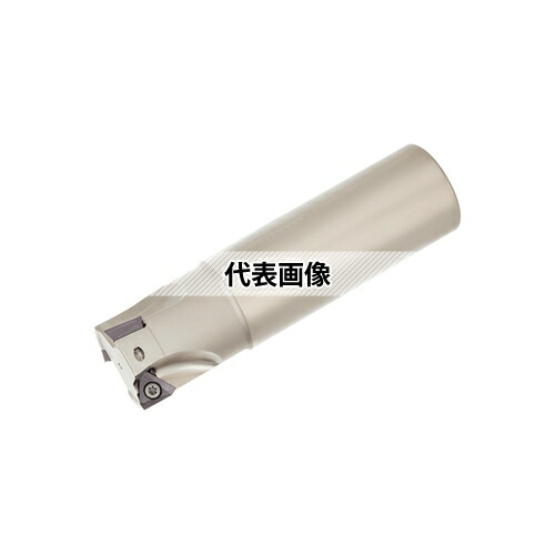 タンガロイ TAC柄付フライス EPA10 EPA10R028M25.0-02N