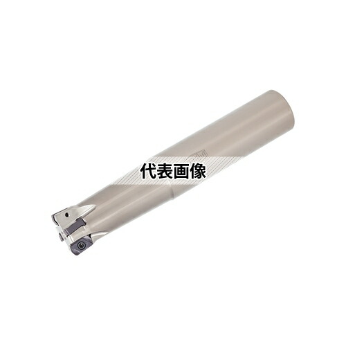 緑であること活動の領域