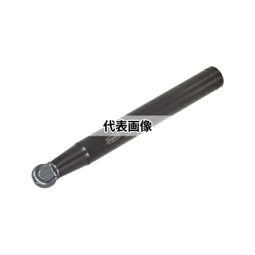 緑であること活動の領域