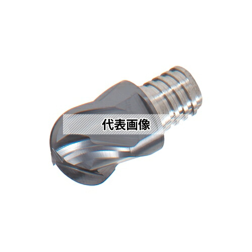 緑であること活動の領域