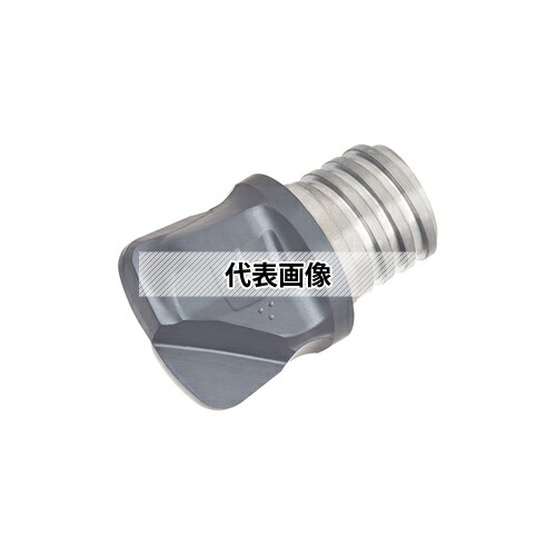 緑であること活動の領域