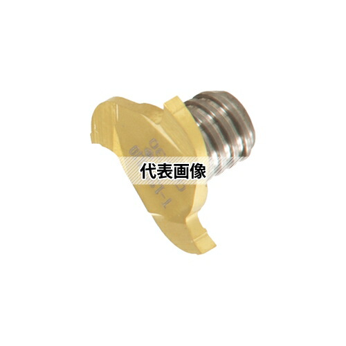 緑であること活動の領域