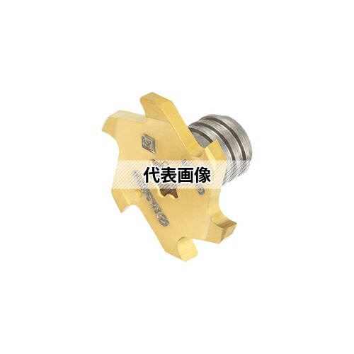 緑であること活動の領域