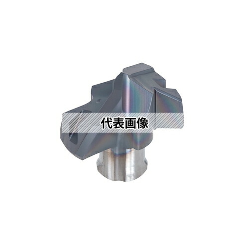 緑であること活動の領域