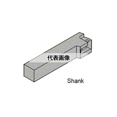 緑であること活動の領域