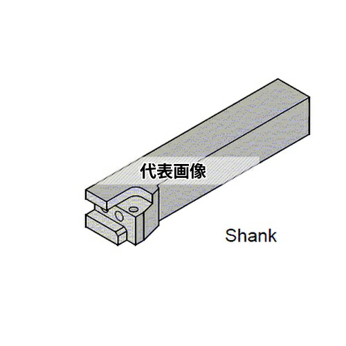 緑であること活動の領域