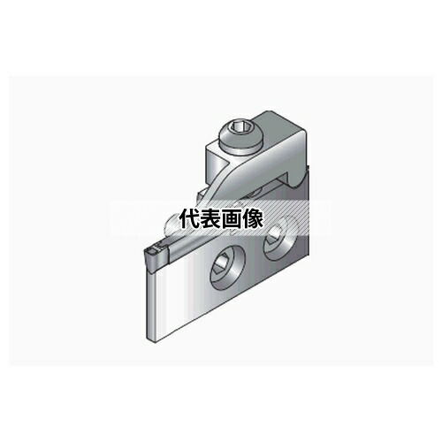 緑であること活動の領域