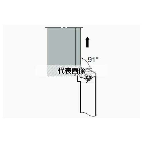緑であること活動の領域