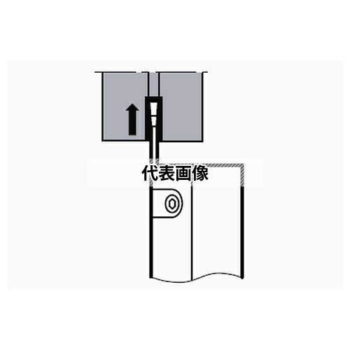 緑であること活動の領域