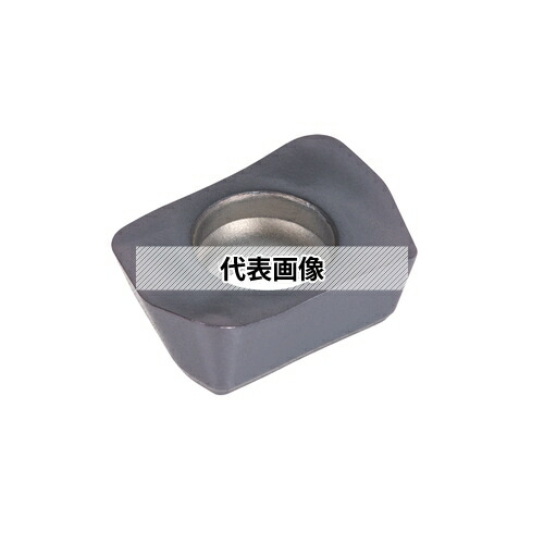 緑であること活動の領域