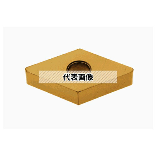 緑であること活動の領域