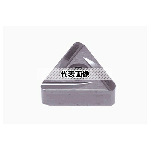緑であること活動の領域