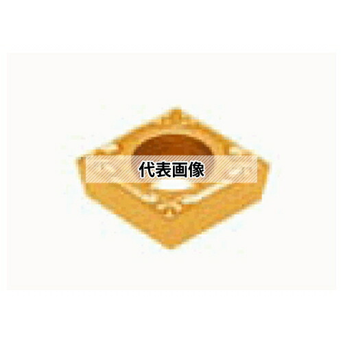 緑であること活動の領域