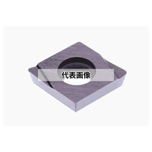 緑であること活動の領域