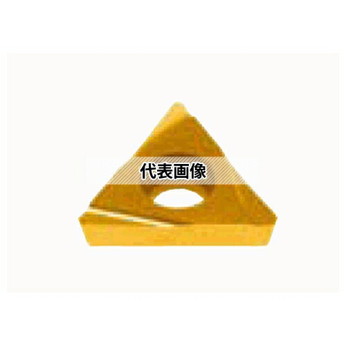 緑であること活動の領域